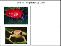 Science 4 kids – Frog match up game