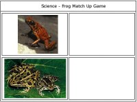 Science 4 kids – Frog match up game