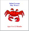 Infant Lesson Plans For Babies  9 to 12 months May Week 3