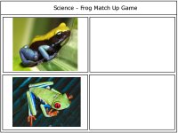 Frog Match Up Game