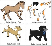 Baby farm animals match up to the mommy farm animals