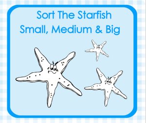 Learning About Starfish