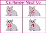 Cat Number Game