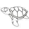 Turtle Rhyme – Circle Time Activity