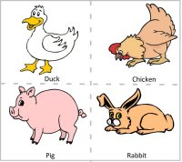 Preschool Farm Animals - Duck, Chicken, Pig & Rabbit