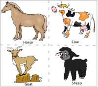 Preschool Farm Animals - Horse, cow, goat & sheep