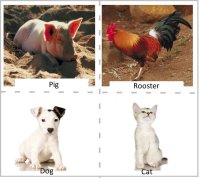 preschool science - farm animal sounds