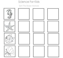june preschool curriculum storybook week fathers day beach frog theme